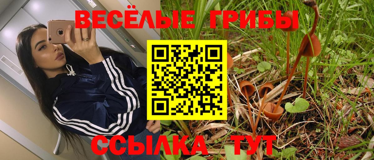 Галлюциногенные грибы MAGIC MUSHROOMS  Вход с VPN  Псилоцибиновые грибы GOLDEN TEACHER  Мариинск 