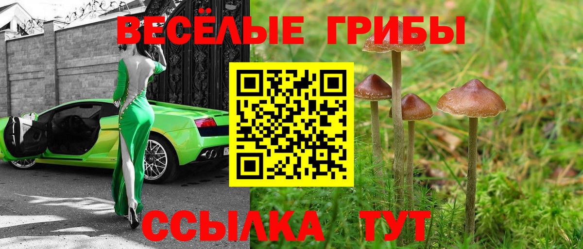 Псилоцибиновые грибы Magic Shrooms Мариинск